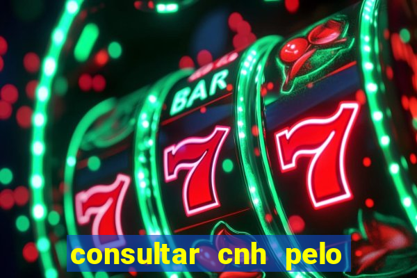 consultar cnh pelo cpf sp